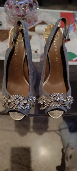 Zapatos Pedro Miralles Joya Oro y Plata