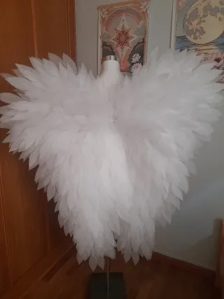 Alas de Ángel Blancas