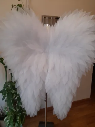 Alas de Ángel Blancas