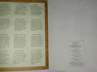 LIBRO JUEGO LA PIEDRA DE SANGRE (PATH OF PERIL)