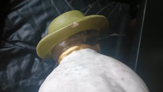 Coppia Thun Karli e Sabine Tirolesi