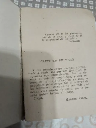 Mini libro: El secreto de W. Storitz - Julio Verne
