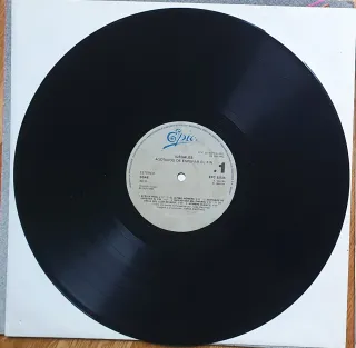 Vinilo Ilegales - Agotados de esperar el fin