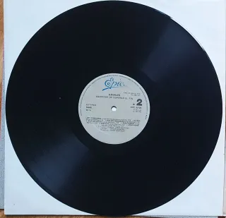 Vinilo Ilegales - Agotados de esperar el fin