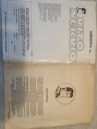 Comic en color de Vito Nervio