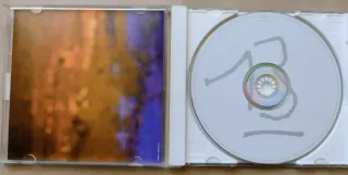 BLUR "13", cd 1999