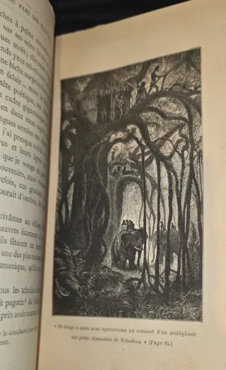 1878, Viaje al Pais de los Elefantes Libro antiguo