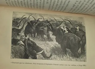 1878, Viaje al Pais de los Elefantes Libro antiguo