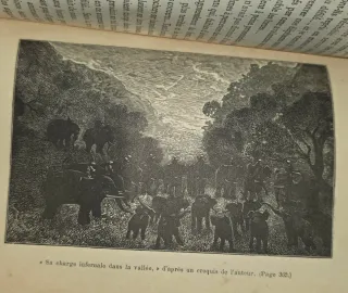 1878, Viaje al Pais de los Elefantes Libro antiguo