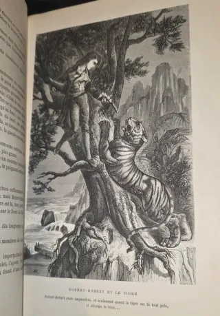Finales 1800, Libro antiguo Aventuras y Viajes