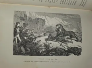 Finales 1800, Libro antiguo Aventuras y Viajes