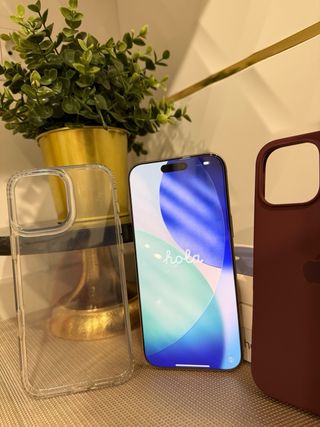 iPhone 16 Pro Max 256GB Dorado