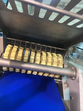 Descortezadora Automática Industrial