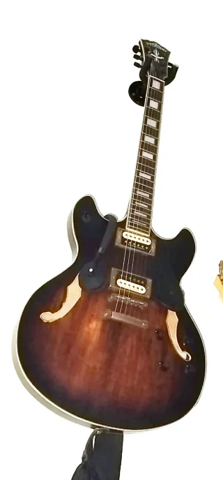 Guitarra Washburn semi-caja