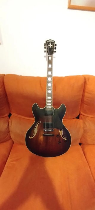 Guitarra Washburn semi-caja