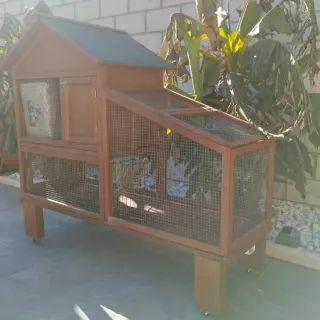 Jaula Conejos conejera
