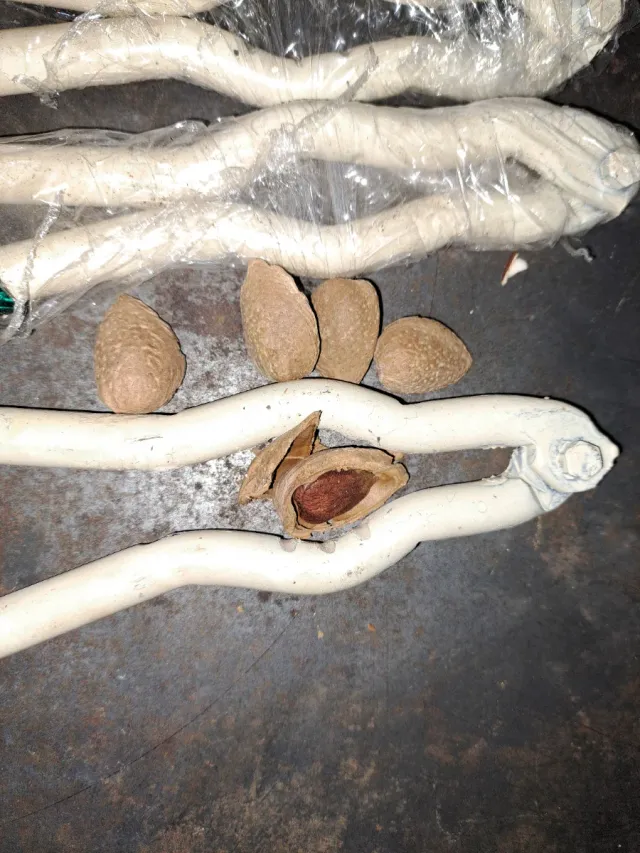 Partidoras de almendras manuales