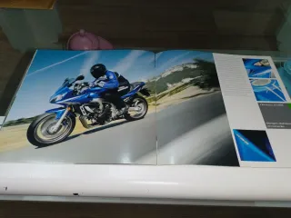 Catálogo Yamaha FZ Series 2009