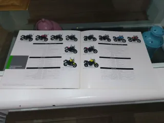 Catálogo Yamaha FZ Series 2009