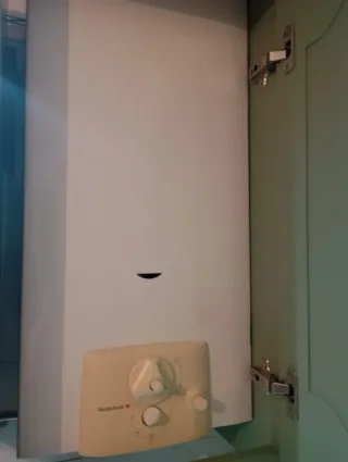 Calentador de gas Saunier Duval