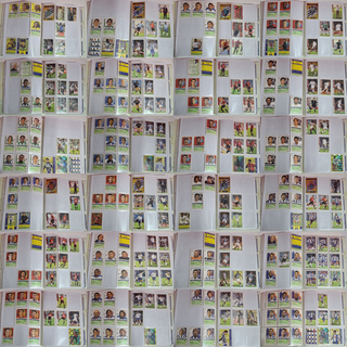 Álbum Las Fichas de La Liga 2005 436 Fichas