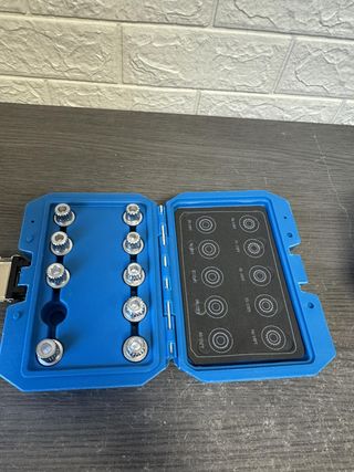 Surtido pernos antirrobo