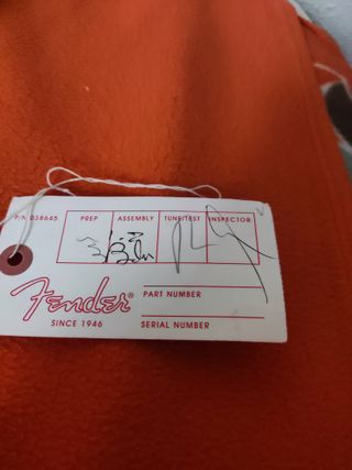 Fender Stratocaster Plus Top México