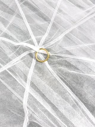 Mosquitera de techo blanca