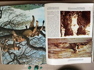 Colección El Mundo de los Animales 1-6