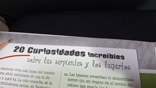 ABREME!! LIBRO SERPIENTES Y REPTILES