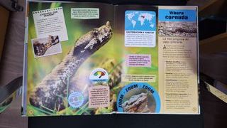ABREME!! LIBRO SERPIENTES Y REPTILES