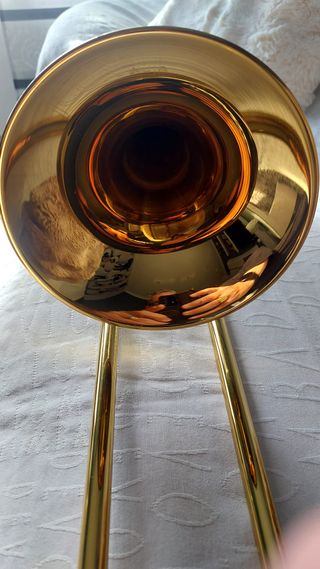 Trombón Alto CG Conn 36H Lacado