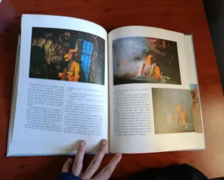 Libro infantil los aurones