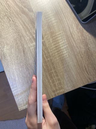 LA DAMA DEL ALBA N/E