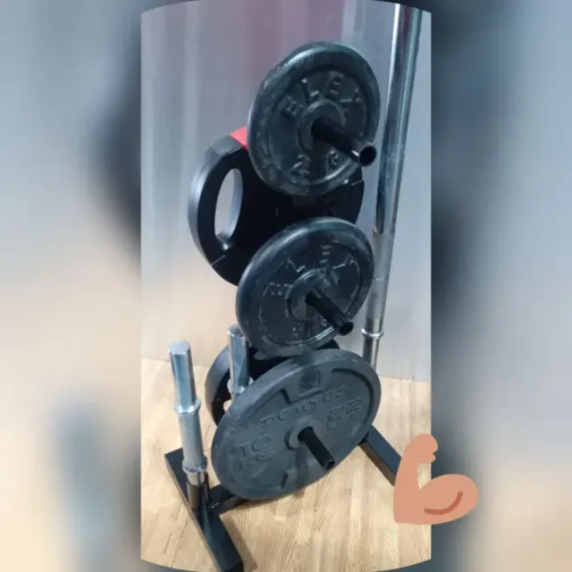 Supporto per dischi e bilancieri