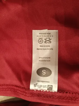 Disfraz Cortesana Terciopelo Bordado