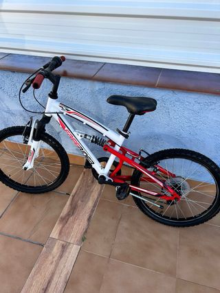 Bicicleta de Montaña Freerider 20