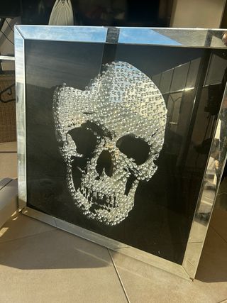 Cuadro Calavera Cristales y Marco Metálico