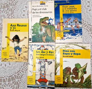 Lote libros lectura 5, 6 y 7 años