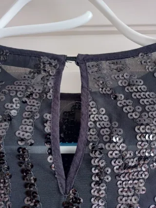 Blusa Zara lentejuelas semitransparente