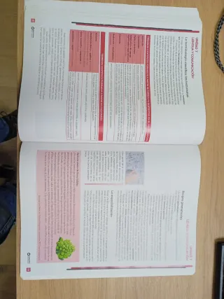 Beatriz Bernal Bachillerato. Lengua castellana