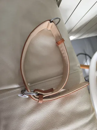 Correa para perro WAU DOG grande