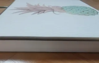 Cuadro Piña Decorativa Colgante