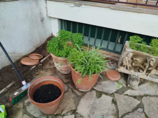 REGALO Macetas y jardineras de regalo