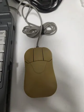 Portátil Budget Note 1996