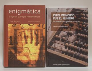 LOTE DE 10 LIBROS DE ENIGMAS, JUEGOS MATEMATICOS..