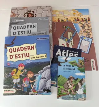 Roc Tempesta. Quadern d ' estiu. Cicle Superior...