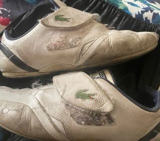Zapatillas Levis  +  otras lacoste de regalo