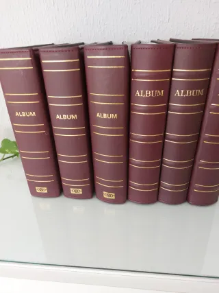 8 álbumes de fotos piel para 200 fotos