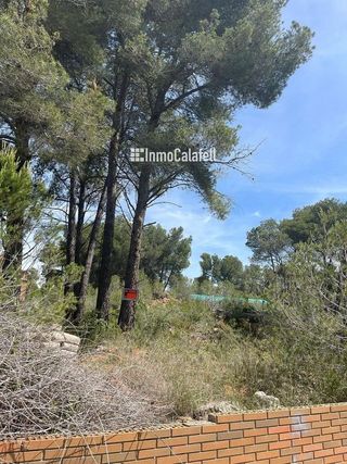 Terreno en venta en Figuerola del Camp